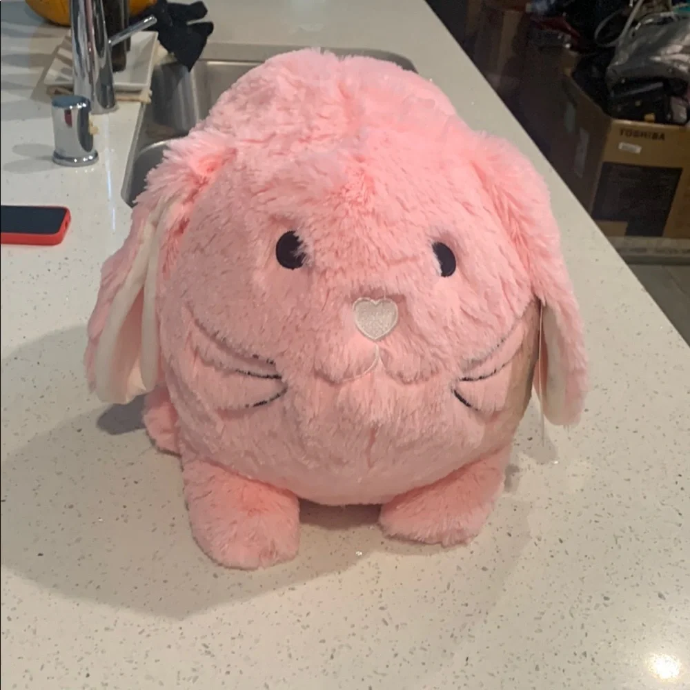 Pink Plush Bunny Bank Toy